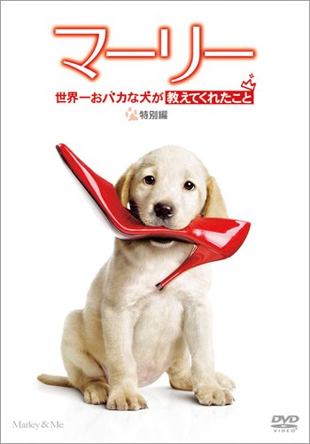 2位：20世紀フォックス・ホーム・エンターテイメント・ジャパン マーリー 世界一おバカな犬が教えてくれたこと (特別編) [DVD]