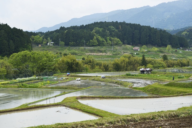 県内総生産（GDP）6,164（10億円）