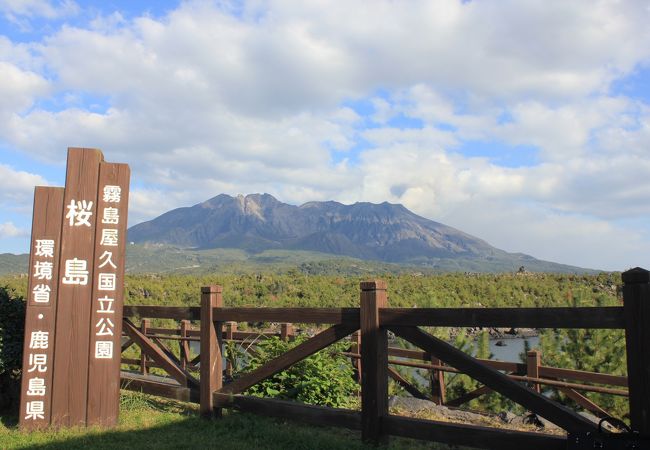 どんどんおいで、鹿児島に