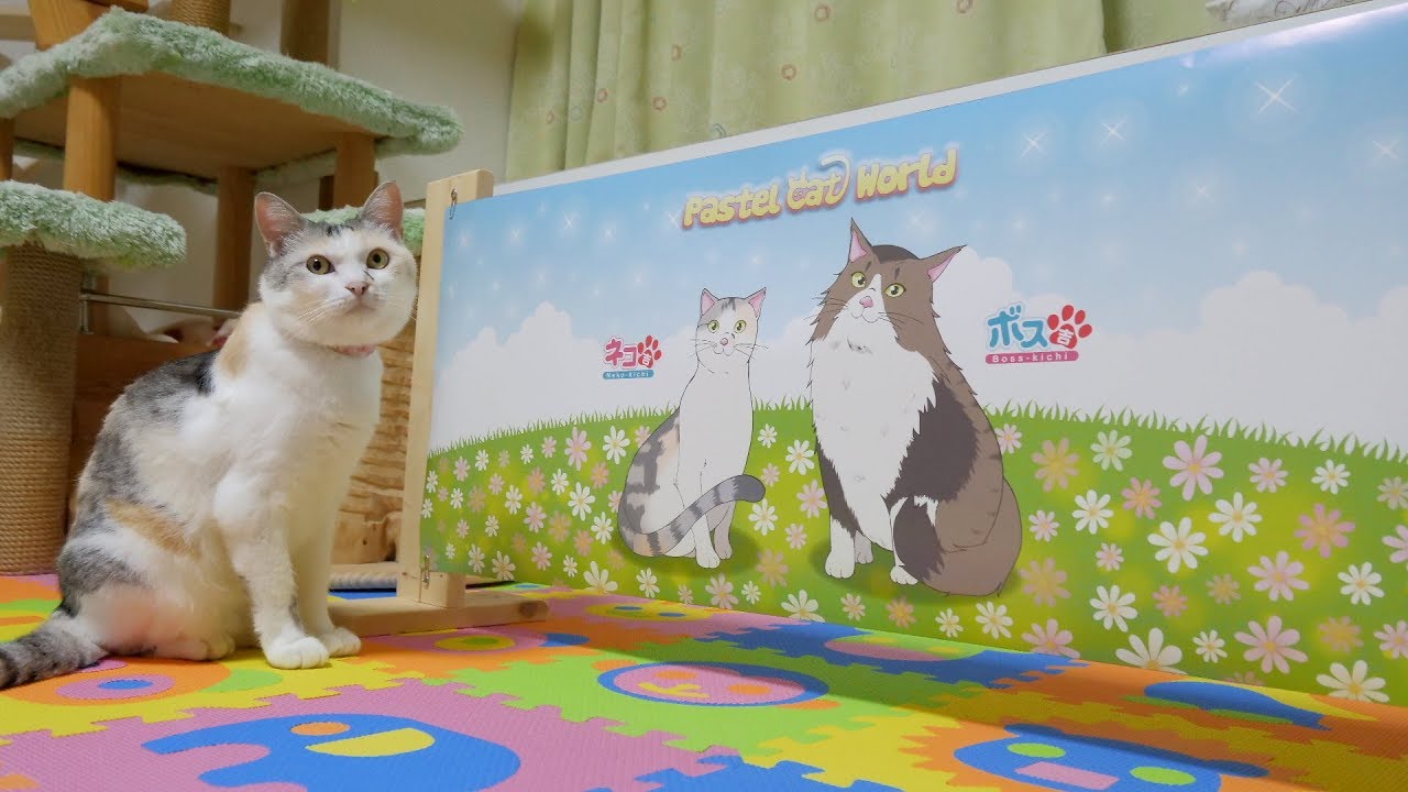 19位：Pastel Cat World