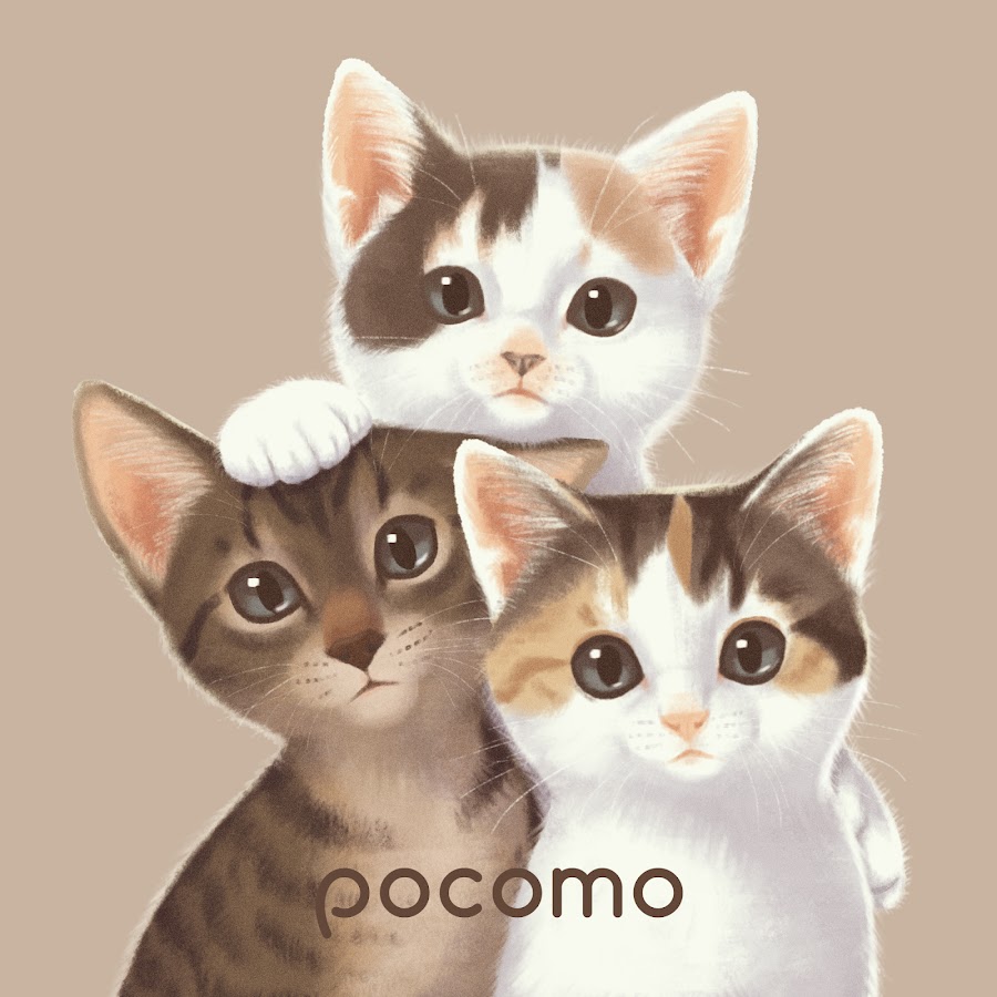 pocomo life - YouTube