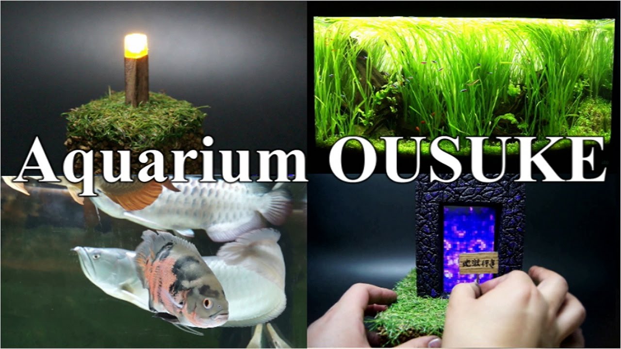 28位：Aquarium OUSUKE