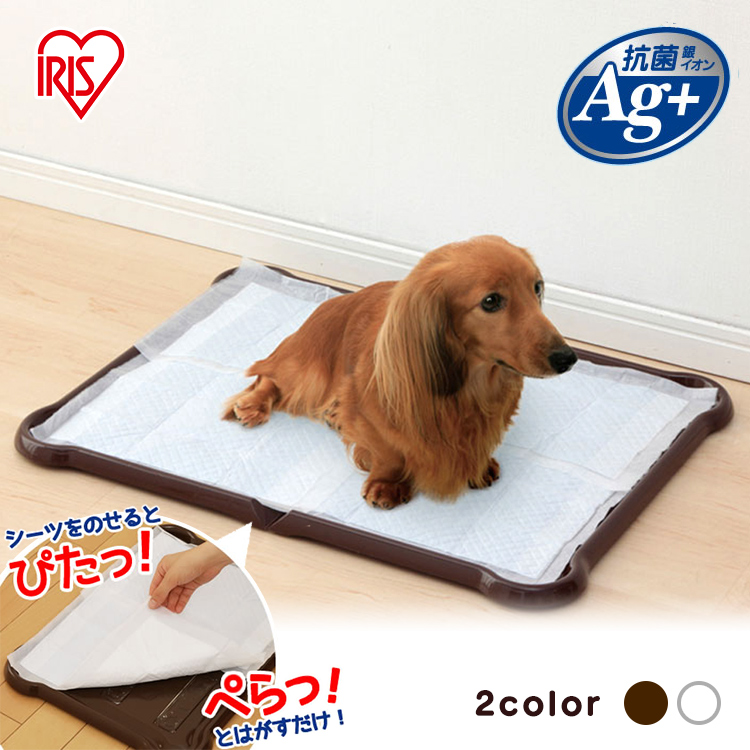 犬のトイレトレーおすすめ選 人気ランキングと口コミ 小型犬 中型犬 大型犬別 21最新版 Rank1 ランク1 人気ランキングまとめサイト 国内最大級
