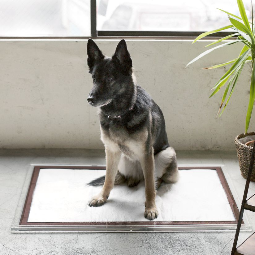 2位　オリジナル アクリル トイレ トレイ L スーパーワイド　大型犬