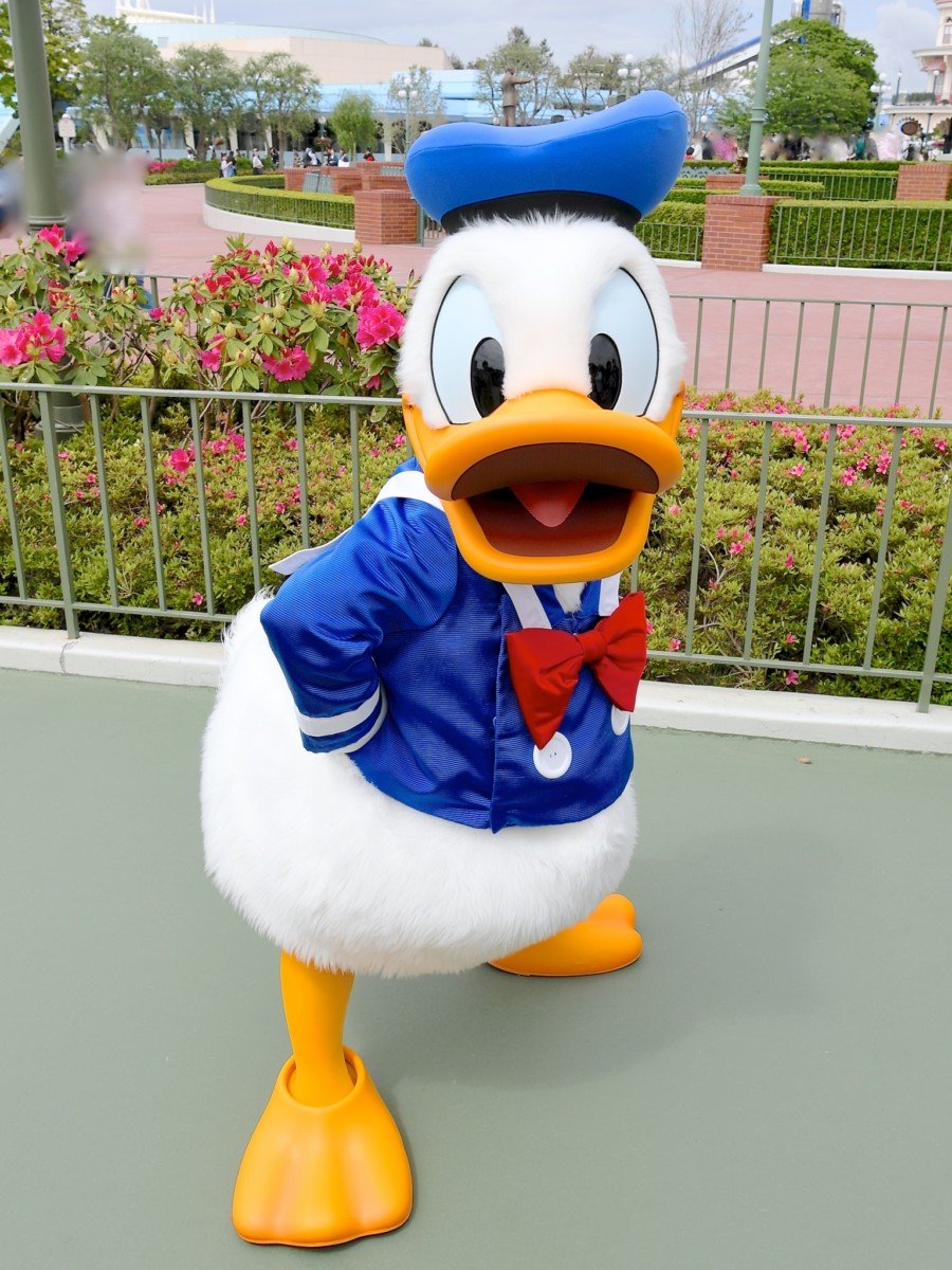 ディズニー最多出演作品