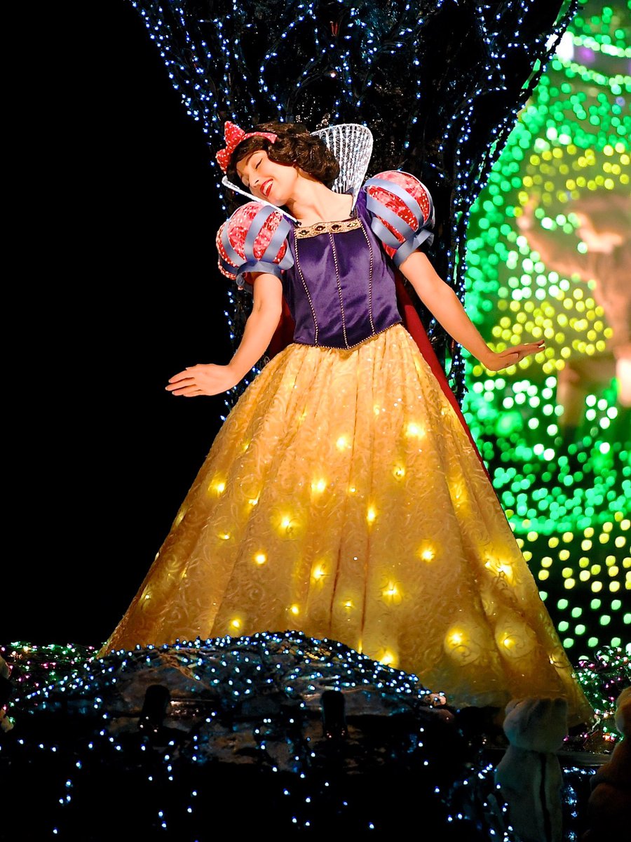 明るくきれいな心を持つ美しい王女