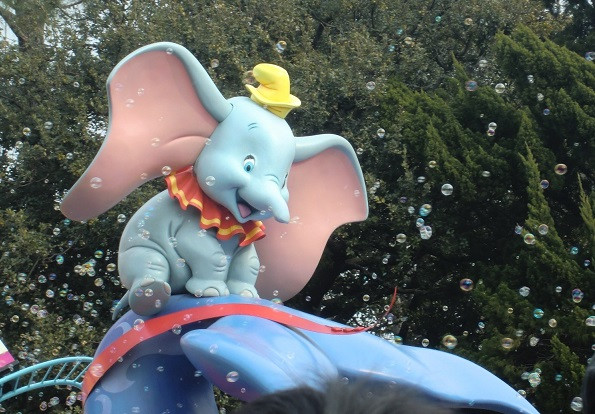 メディチ・サーカスで⽣まれた象の⾚ちゃん