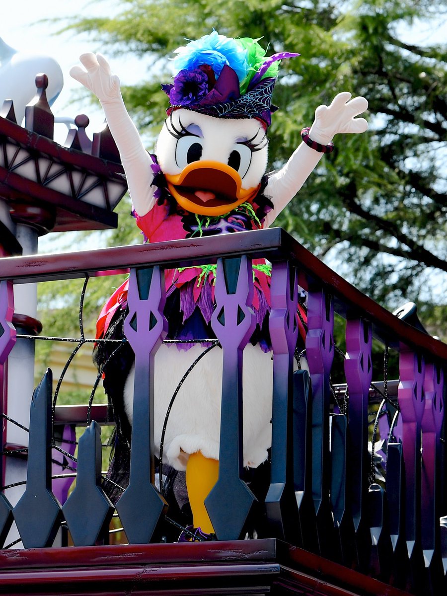 ドナルドダックの永遠のガールフレンド