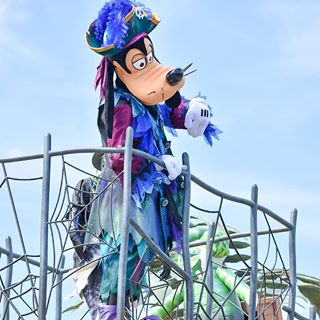 気立てがよくて、のんびり屋