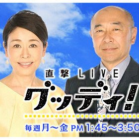 「直撃LIVE グッディ！」で活躍