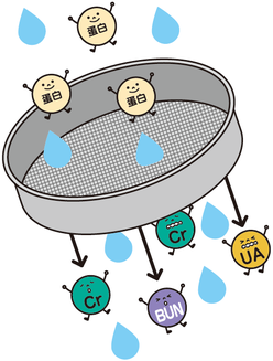 生活習慣病と深くかかわる病気