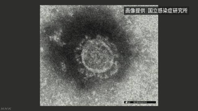 新型コロナウイルス感染症（COVID-19）