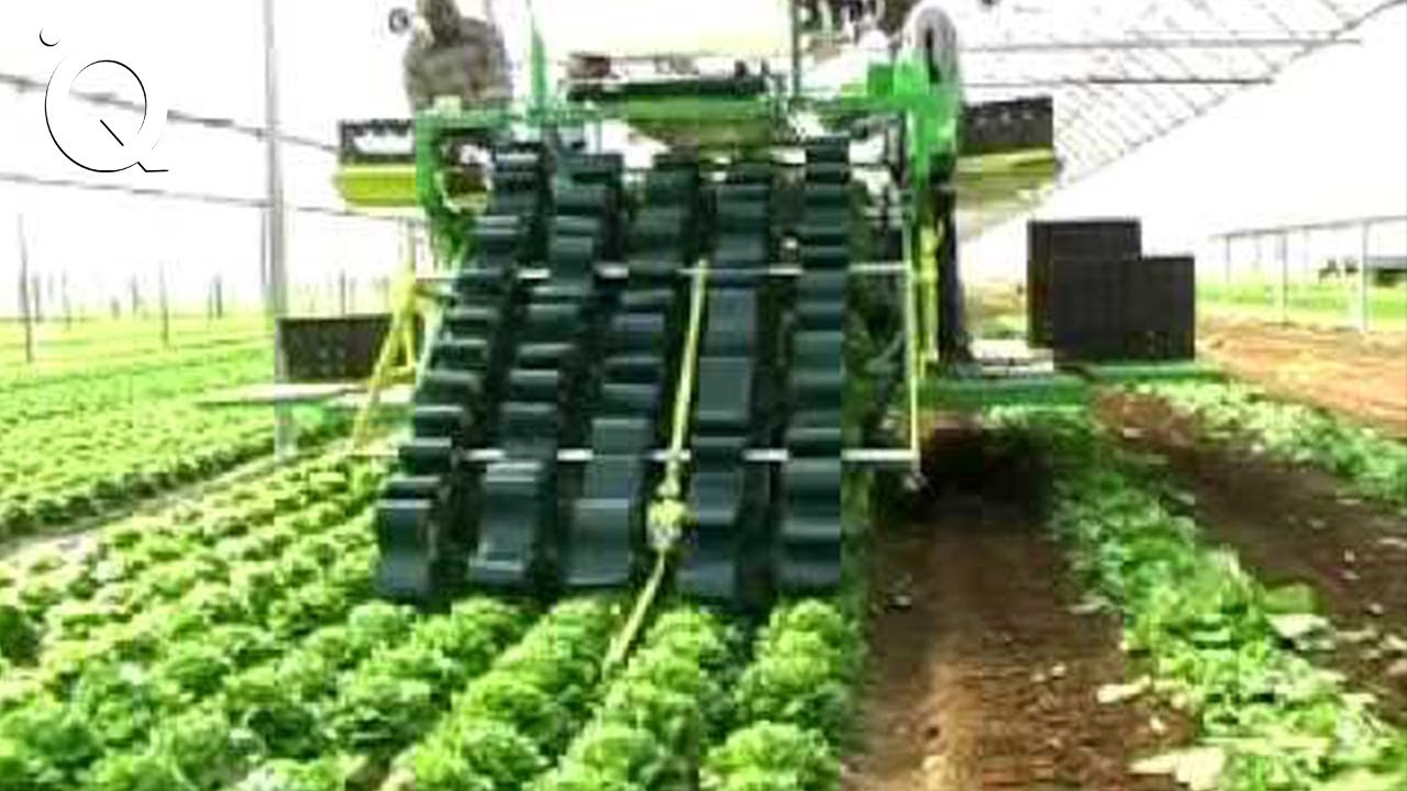 Modern Agriculture Machines That Are At Another Level ▶5 - YouTube