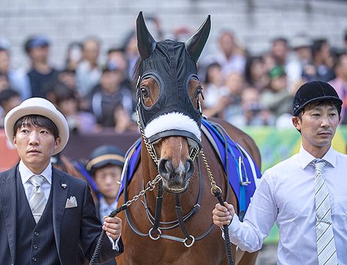 獲得賞金	14億663万3900円