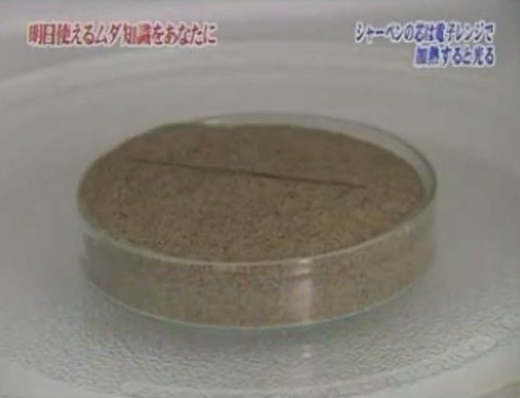 12位：シャー芯を電子レンジしたら光る