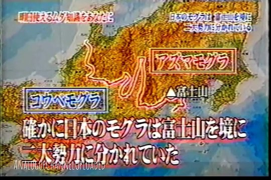 66位：日本のモグラは富士山を境に二大勢力に分かれている