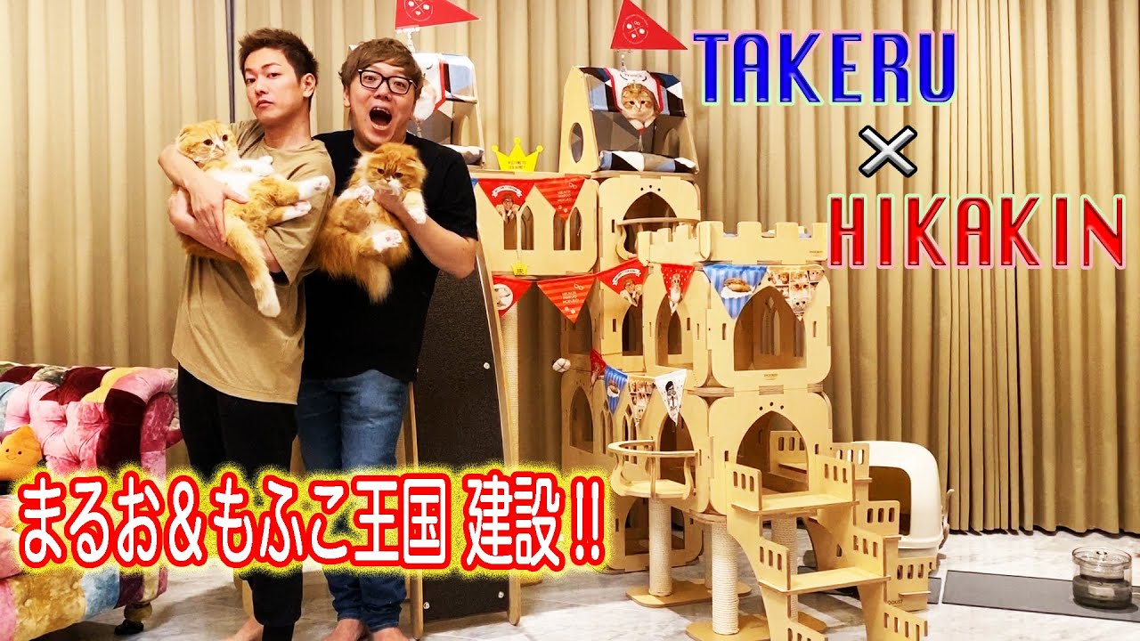 「Takeru×Hikakin / まるお＆もふこに猫のお城をプレゼントしました」 - YouTube