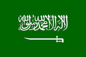 17位：サウジアラビア