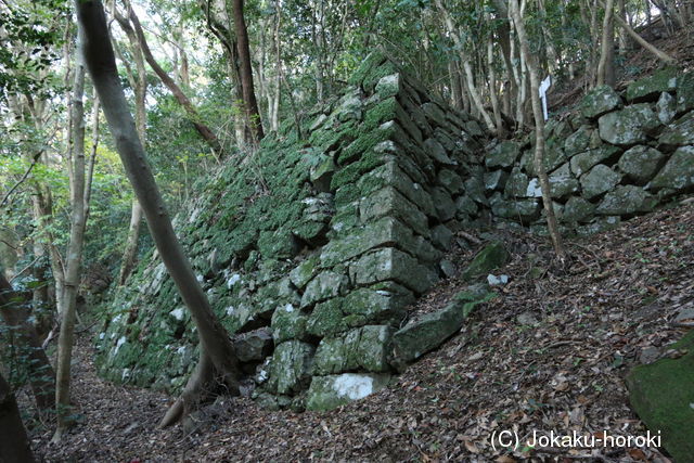 39位：岸岳城