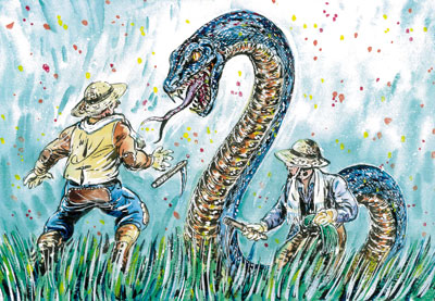 40位：剣山の大蛇