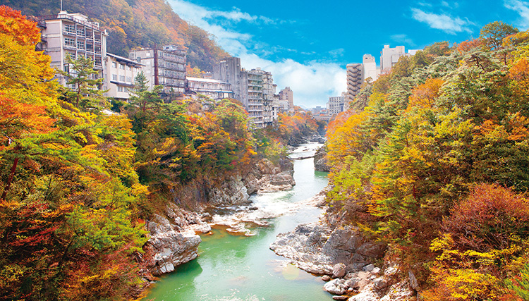 19位：鬼怒川温泉（栃木県）