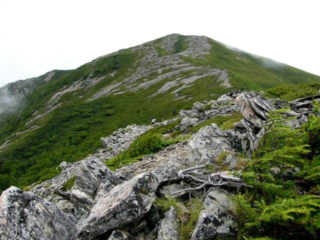 40位：蝙蝠岳　標高2,865m