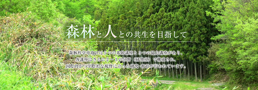 35位：京都大学 農学部 森林科学｜偏差値65
