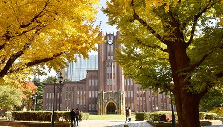 9位：東京大学 理一類｜偏差値67.5