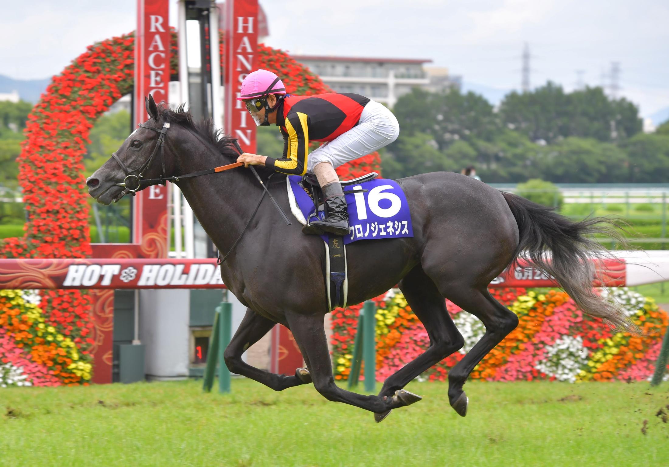 春の中距離の最強馬決定戦