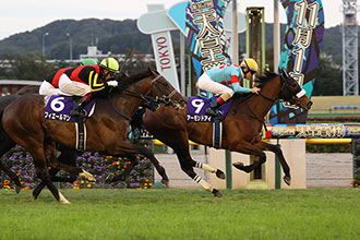 秋の中距離の最強馬決定戦