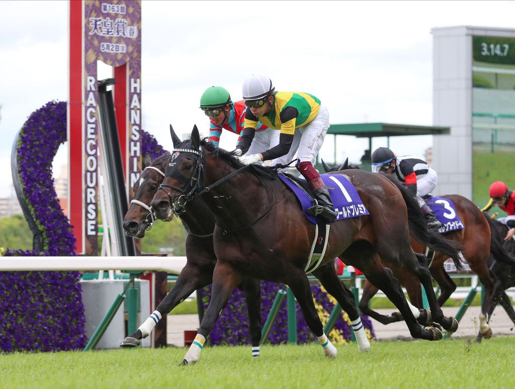 古馬長距離の最強馬決定戦