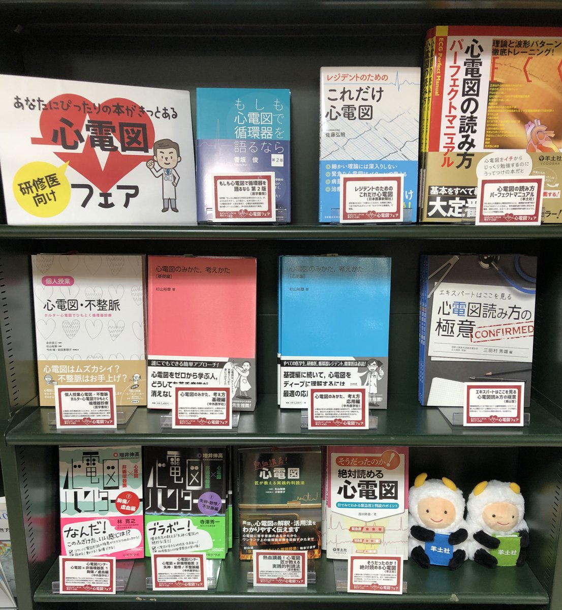 25位：南江堂