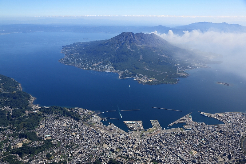 基本情報