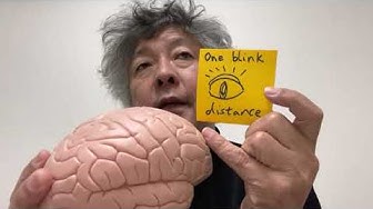 28位：茂木健一郎の脳の教養チャンネル