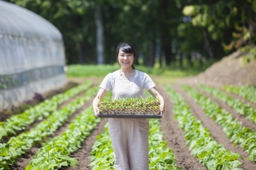 8位：晴耕雨読