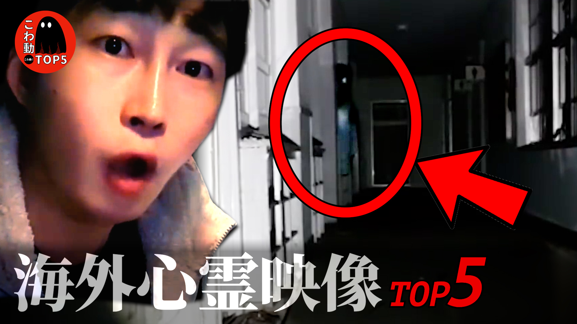 24位：こわ動!TOP5