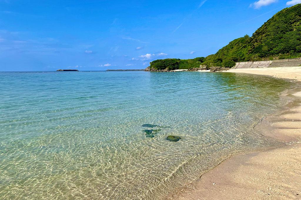 66位：ワンジョ　鹿児島県