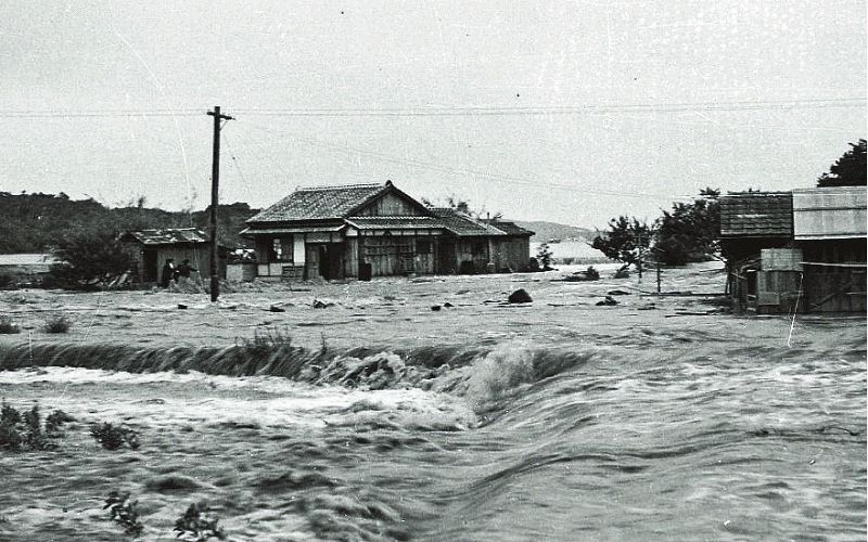 沿岸部の19市町は「南海トラフ地震津波避難対策特別強化地域」に指定