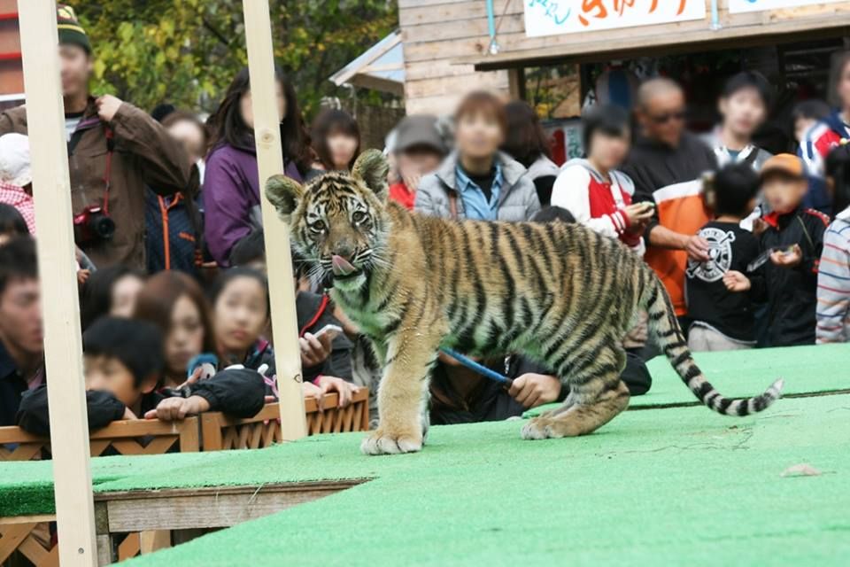 21位：ノースサファリサッポロ