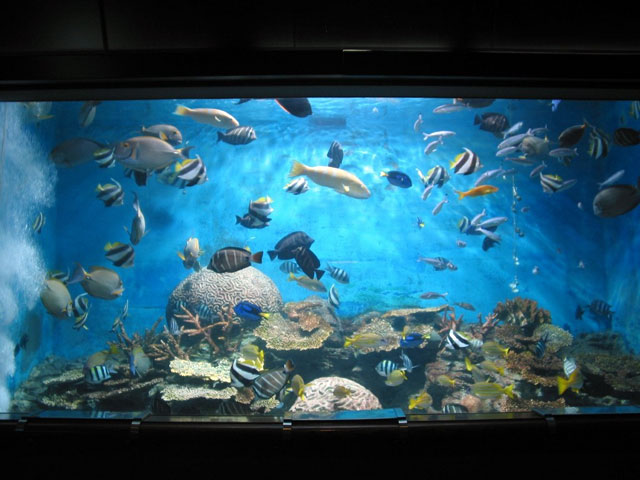 59位：玉野海洋博物館