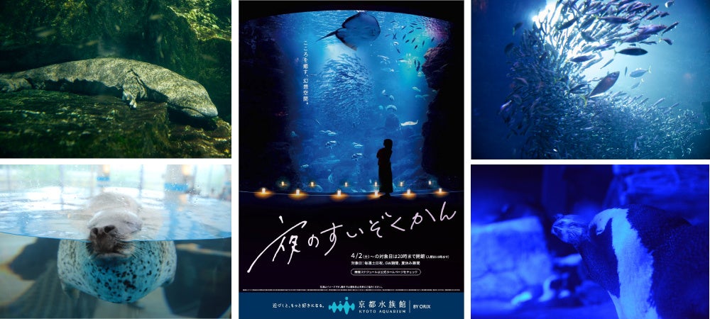 15位：京都水族館