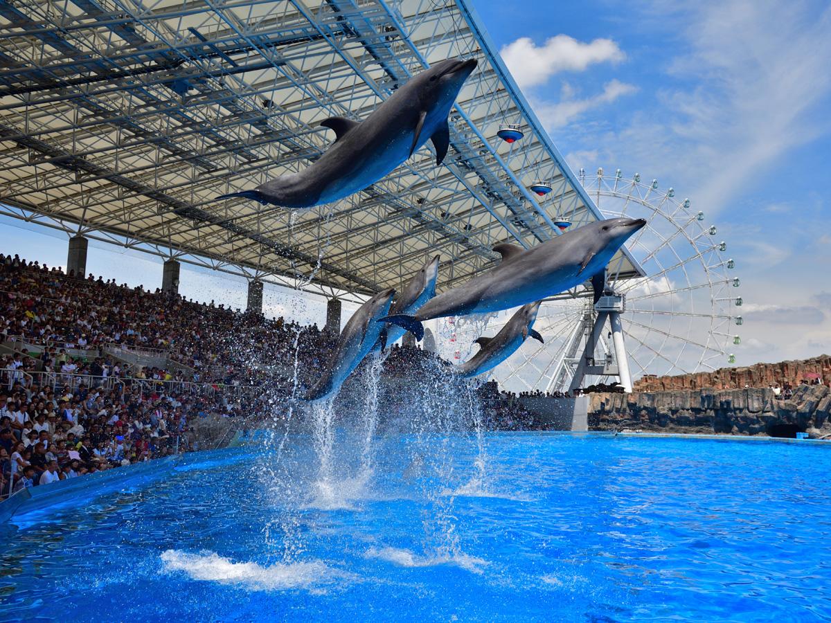 3位：名古屋港水族館