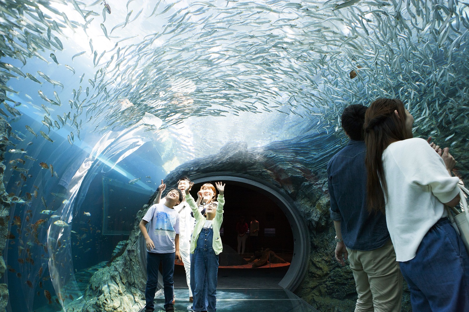 26位：上越市立水族博物館 うみがたり