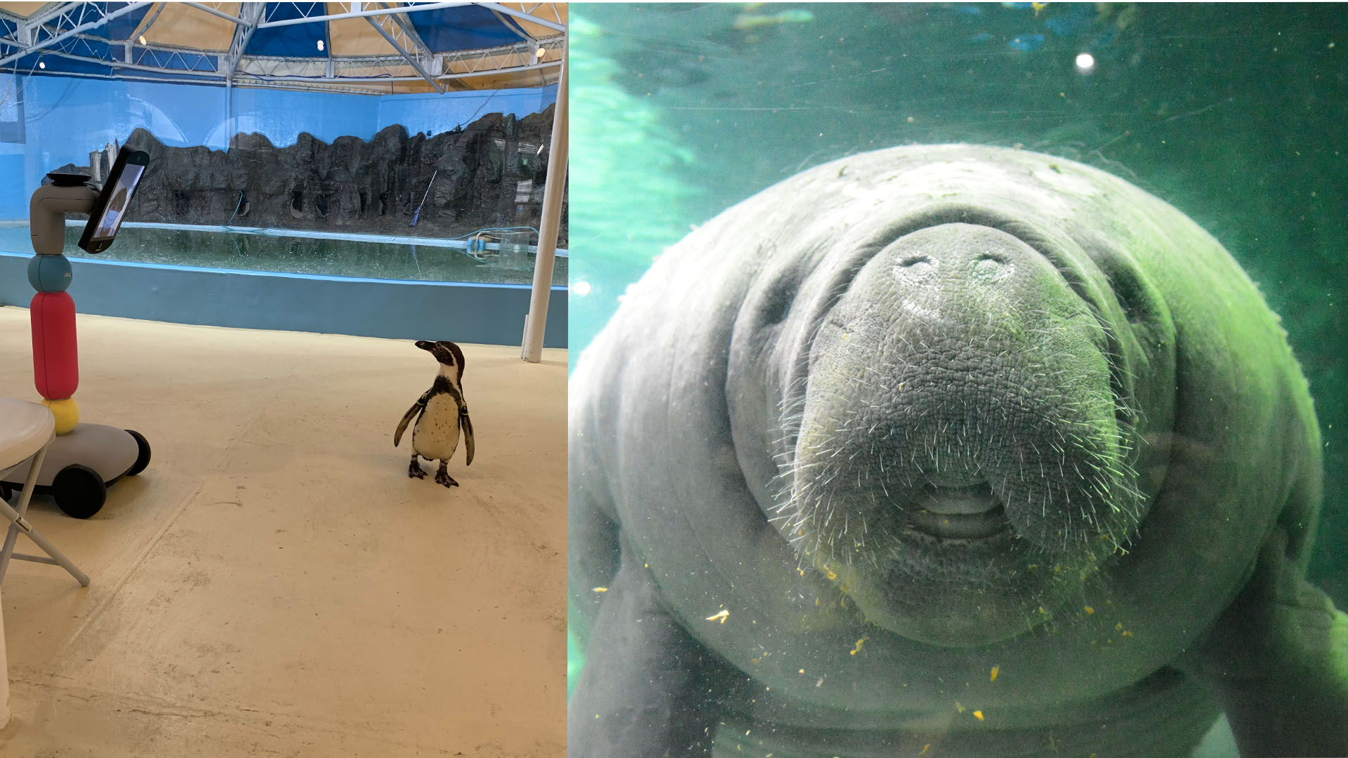 24位：新屋島水族館