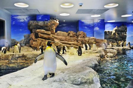 18位：下関市立しものせき水族館「海響館」