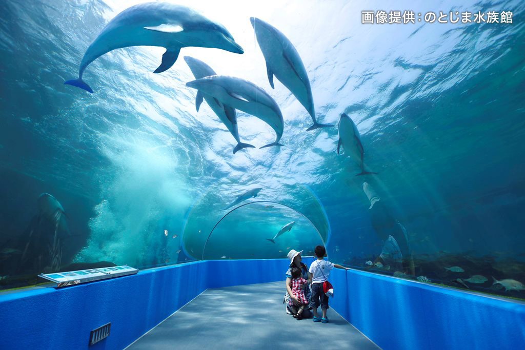 29位：のとじま水族館