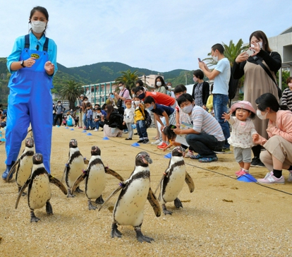 22位：長崎ぺんぎん水族館