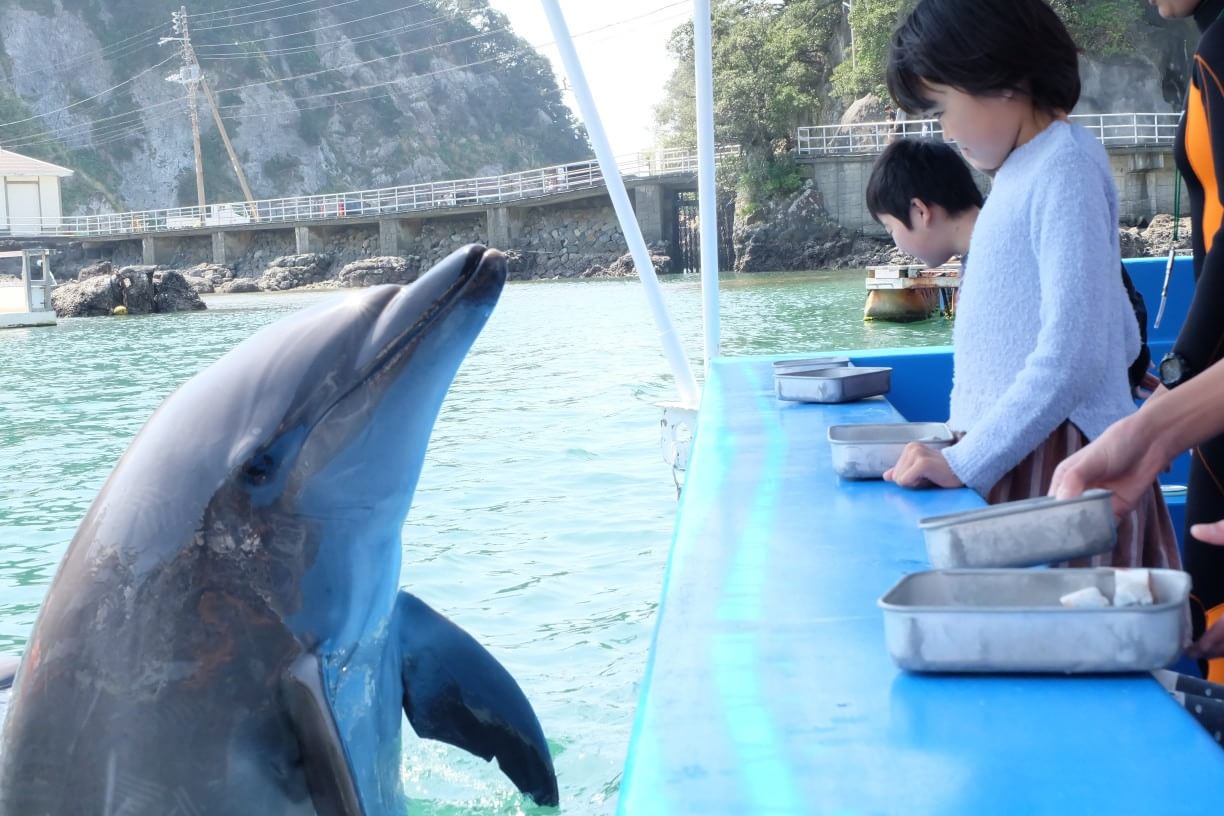 34位：下田海中水族館