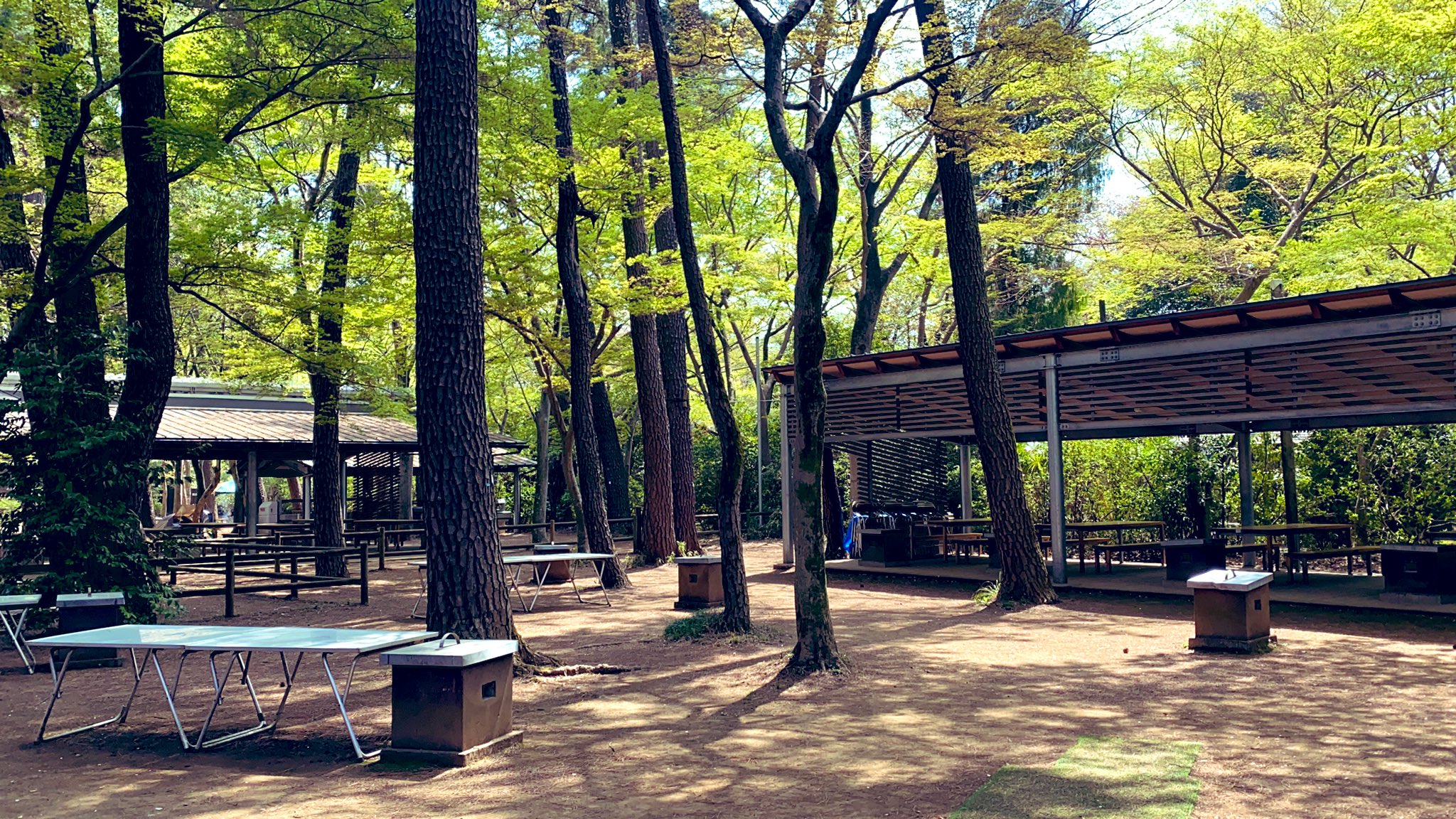 5位：清水公園 キャンプ場