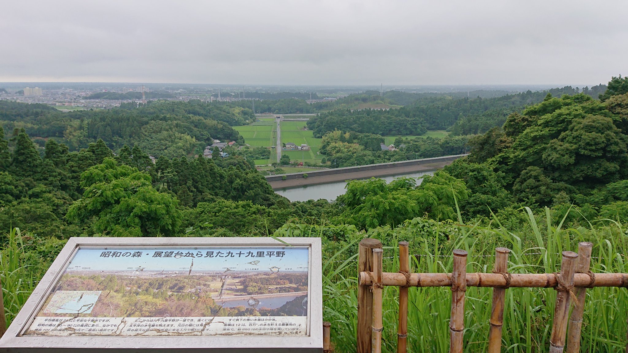 59位：千葉市昭和の森公園　展望台